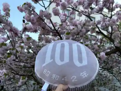 出会い不動の{uncategorized: "未分類", other: "その他", undefined: "問題あり", building: "その他建物", grave: "お墓", sacred_gate: "鳥居", guardian: "狛犬", statue: "像", buddha: "仏像", history: "歴史", nature: "自然", garden: "庭園", animal: "動物", pagoda: "塔", temizu: "手水舎", mountain_gate: "山門・神門", sanctuary: "本殿・本堂", subordinate: "末社・摂社", art: "芸術", scenery: "景色", jizo: "地蔵", ema: "絵馬", goshuin: "御朱印", omikuji: "おみくじ", items: "授与品その他", amulet: "お守り", goshuincho: "御朱印帳", eats: "食事", festival: "お祭り", votive_dance: "神楽", shichigosan: "七五三参", wedding: "結婚式", experience: "体験その他", initially: "初詣", around: "周辺", anti_infection: "感染症対策"}