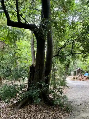 嚴嶌神社の自然