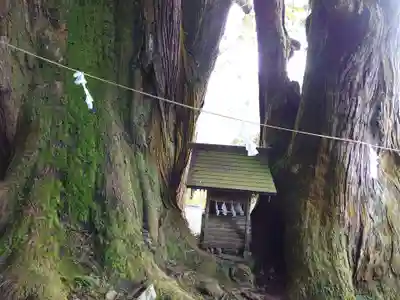 萩日吉神社(埼玉県)