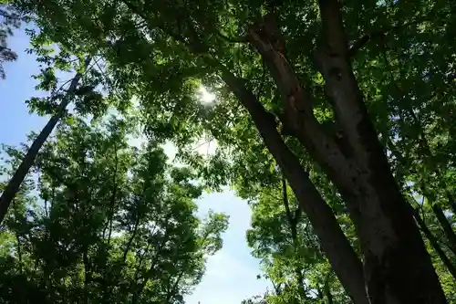 伏見稲荷大社御旅所の自然