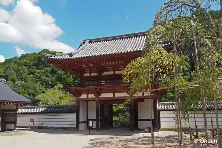 金剛寺(大阪府)
