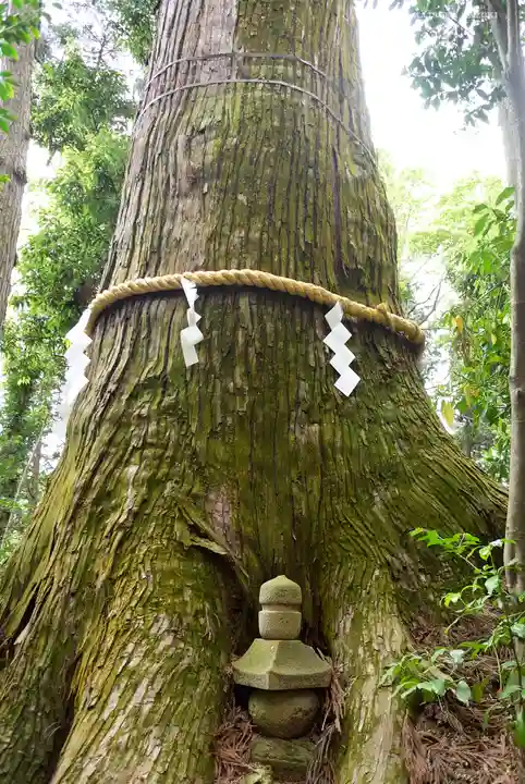 塩船観音寺のその他建物