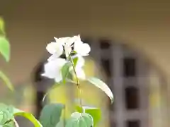 中禅寺(長野県)