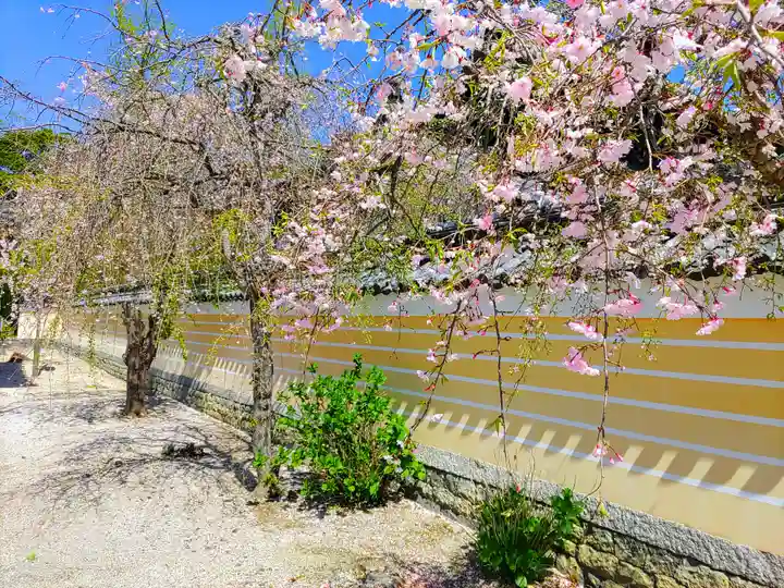 本山専修寺のその他建物