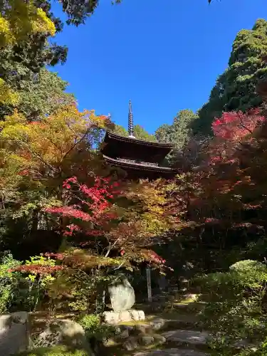 金剛輪寺(滋賀県)