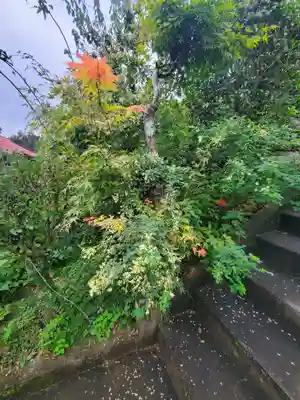 洞昌院(埼玉県)