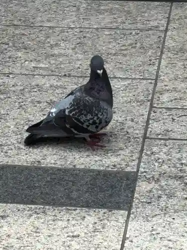 豊川稲荷(東京都)