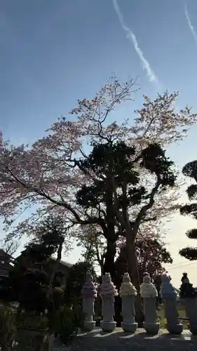 光明寺(静岡県)