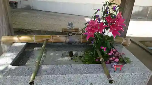 五泉八幡宮(新潟県)