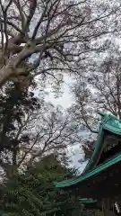 酒門神社(茨城県)