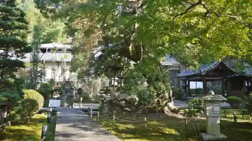 三寳寺の庭園