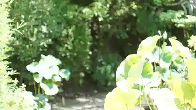 法音院(京都府)