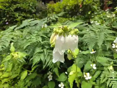 栄国寺(愛知県)