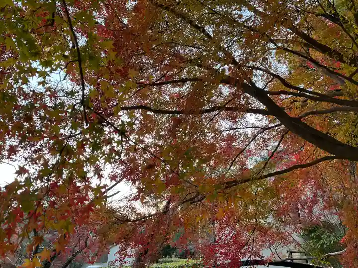 石清水八幡宮(京都府)