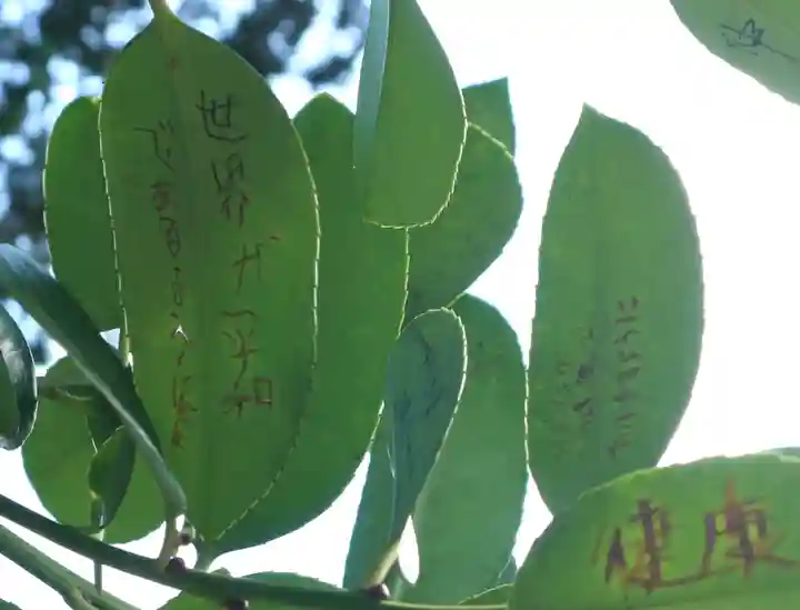 法起院(奈良県)