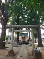 中野天祖神社の鳥居