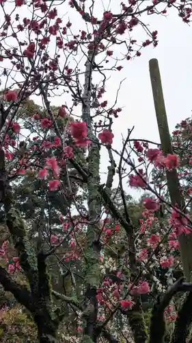 長岡天満宮(京都府)
