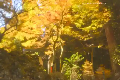 最乗寺（道了尊）(神奈川県)