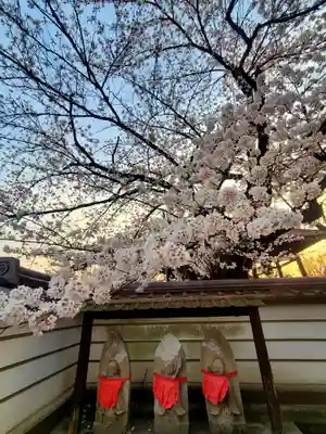 如宝寺(福島県)