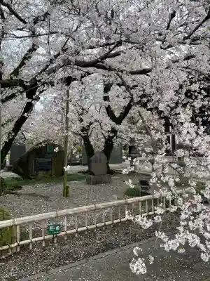 吉祥寺(東京都)