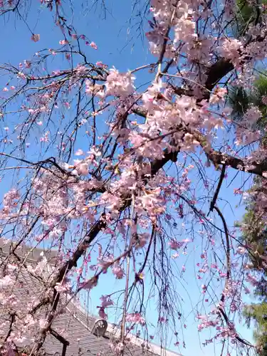 永福寺の庭園