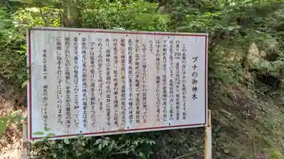 乎彌神社(滋賀県)