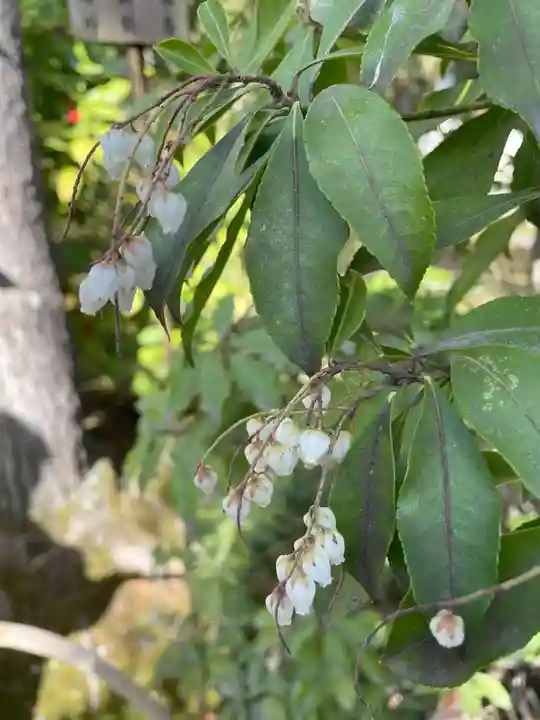 天龍寺(京都府)