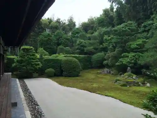 芬陀院の庭園