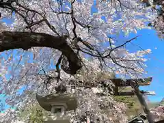 山家神社の自然