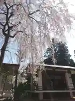 開成山大神宮(福島県)
