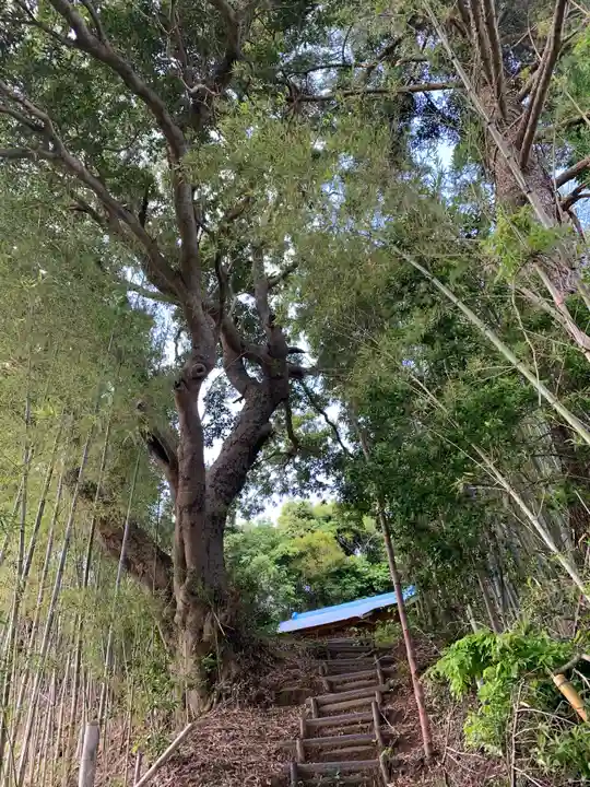 天王神社のその他建物