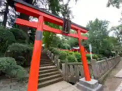 根津神社の鳥居