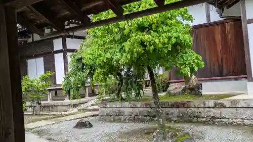 歓喜院(奈良県)