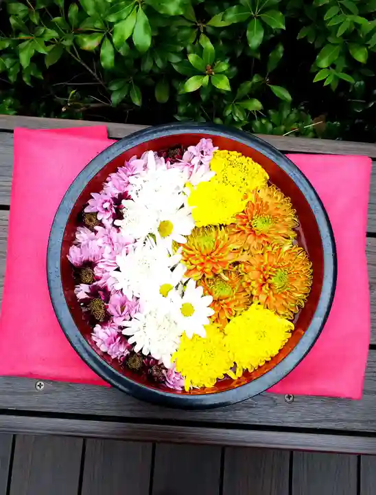 増上寺塔頭 三縁山 宝珠院の手水舎