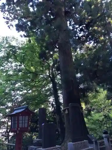 高尾山薬王院の建物その他