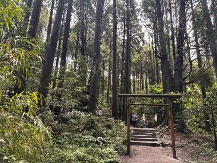霧島神宮(鹿児島県)