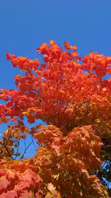 相馬神社の自然