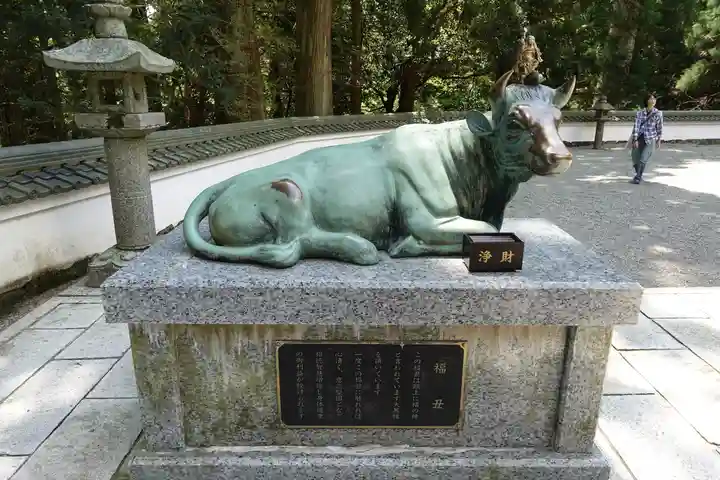 金剛證寺の狛犬