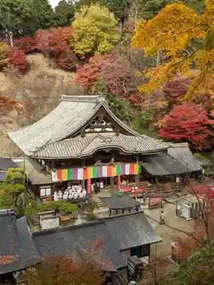 岡寺(龍蓋寺)(奈良県)