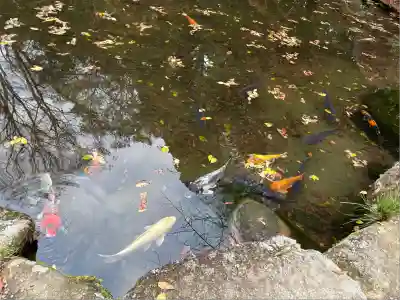 香取神宮(千葉県)