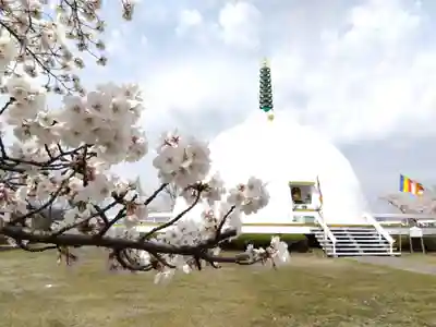 妙法寺(福井県)