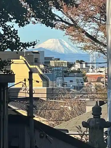 北澤八幡神社の景色