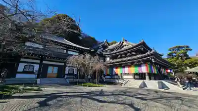 長谷寺の初詣