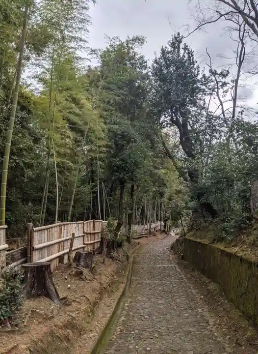 二尊院(京都府)