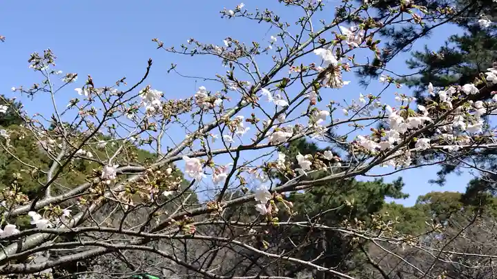志都岐山神社(山口県)