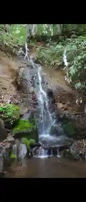 戸隠神社中社(長野県)