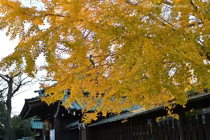 三嶋大社(静岡県)