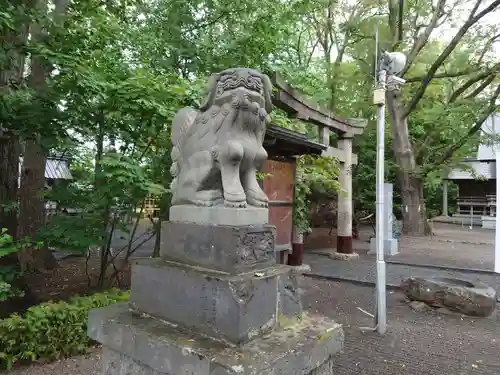 旭川神社の狛犬