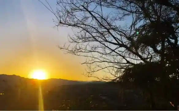 【公式】龍門院常楽寺(秩父札所十一番)の景色