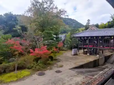 光明寺（粟生光明寺）(京都府)